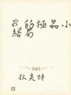 我的极品小姨大结局