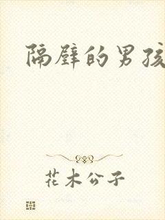 隔壁的男孩完整