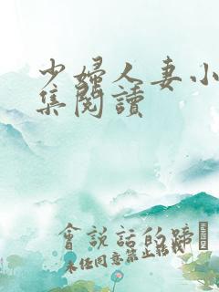 少妇人妻小说合集阅读