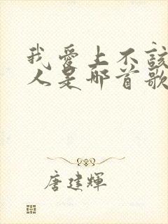 我爱上不该爱的人是哪首歌的歌词