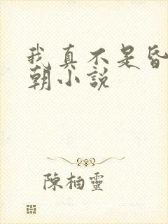 我真不是昏君明朝小说