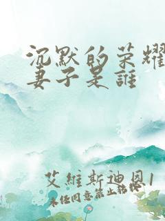 沉默的荣耀聂曦妻子是谁