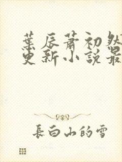 叶辰萧初然最快更新小说最新章节