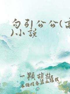 勾引公公(高h)小说