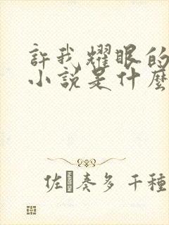 许我耀眼的原著小说是什么