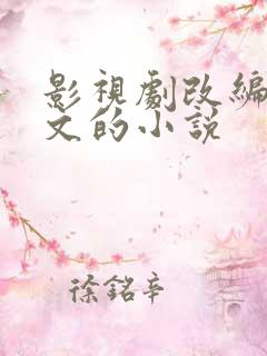 影视剧改编成爽文的小说