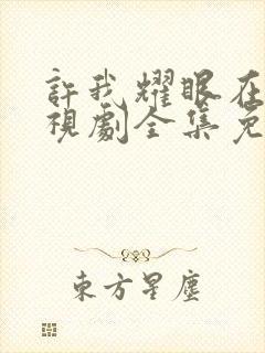 许我耀眼在线电视剧全集免费观看