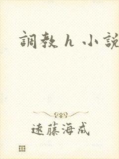 调教 h 小说