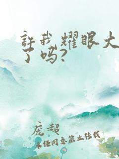 许我耀眼大结局了吗?