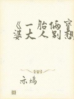 《一胎俩宝:老婆大人别想逃》