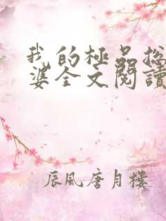 我的极品总裁老婆全文阅读