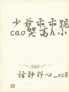 少爷乖乖跪趴被cao哭高h小说