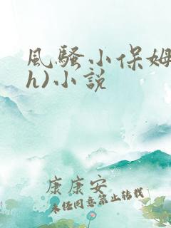 风骚小保姆(高h)小说