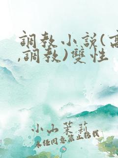 调教小说(高h,调教)双性