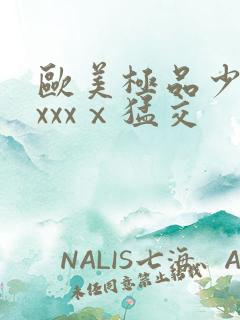 欧美极品少妇xxxxⅹ猛交