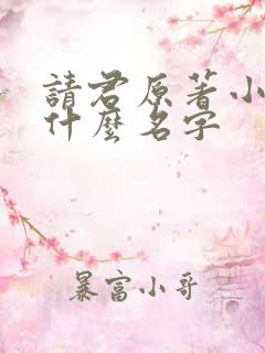 请君原著小说叫什么名字