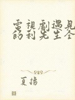 电视剧遇见爱情的利先生全集