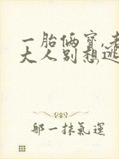 一胎俩宝,老婆大人别想逃