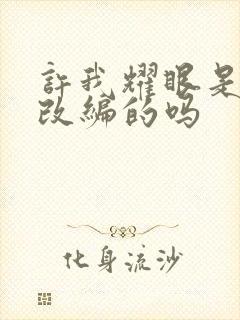 许我耀眼是小说改编的吗