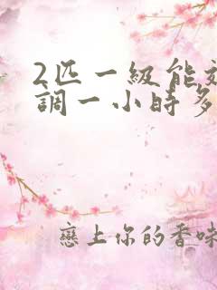 2匹一级能效空调一小时多少度电