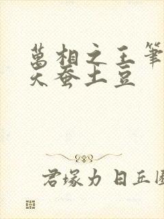 万相之王笔趣阁天蚕土豆