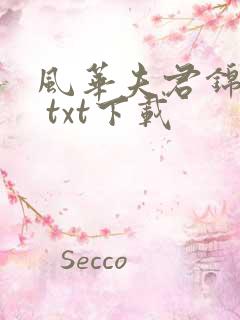 风华夫君锦绣妻 txt下载