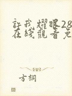 许我耀眼28集在线观看免费高清版