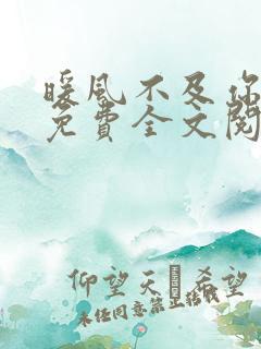 暖风不及你情深免费全文阅读