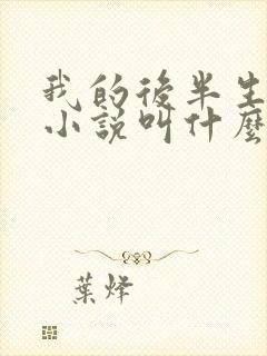 我的后半生原著小说叫什么