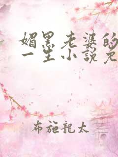 媚黑老婆的下贱一生小说免费阅读