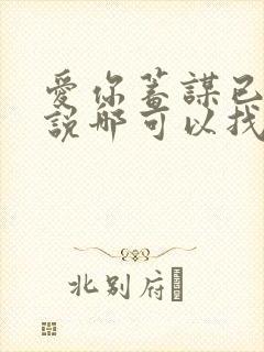 爱你蓄谋已久小说哪可以找到