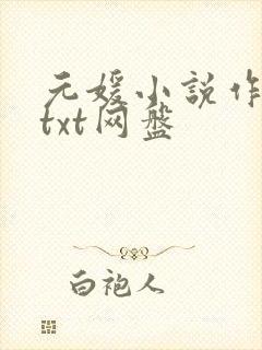 元媛小说作品集txt网盘