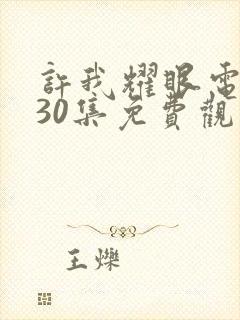 许我耀眼电视剧30集免费观看