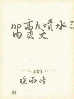 np高h喷水荡肉爽文