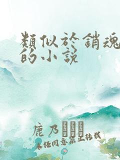 类似于销魂艳婢的小说