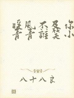 暖风不及你情深青青谁笑小说全本阅读