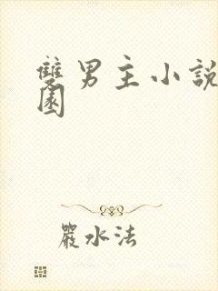 双男主小说 校园