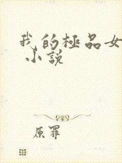 我的极品女老板 小说