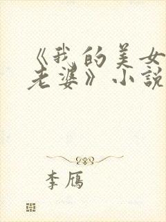 《我的美女总裁老婆》小说