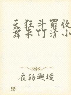 天狂斗罗收服小舞朱竹清小说