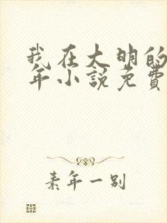 我在大明的那些年小说免费阅读