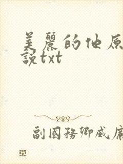 美丽的他原著小说txt