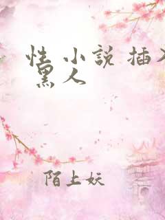 性 小说 插入 黑人