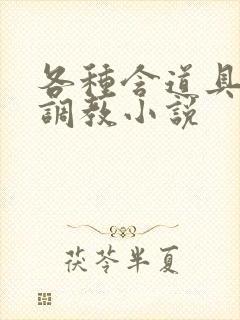 各种含道具高h调教小说