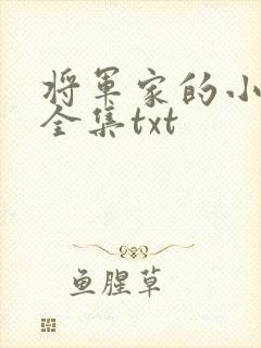 将军家的小娘子全集txt