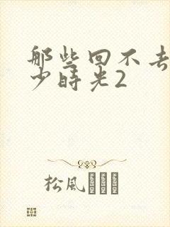 那些回不去的年少时光2