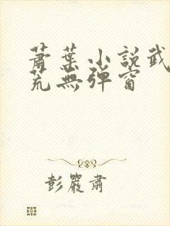 萧叶小说武破九荒无弹窗