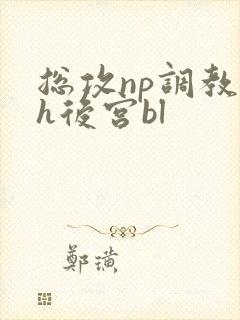 总攻np调教高h后宫bl