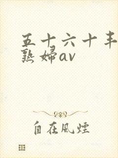 五十六十丰满老熟妇av