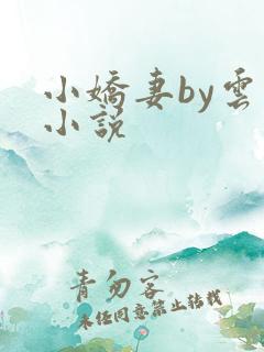 小娇妻by云间小说